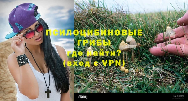 PSILOCYBIN Новодвинск