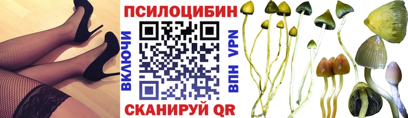 где можно купить наркотик  Пикалёво  Псилоцибиновые грибы Psilocybine cubensis 